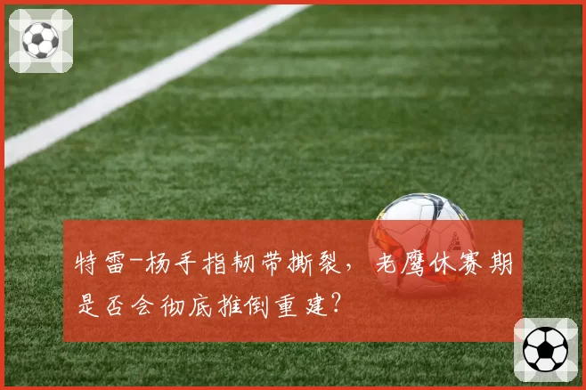 特雷-杨手指韧带撕裂，老鹰休赛期是否会彻底推倒重建？