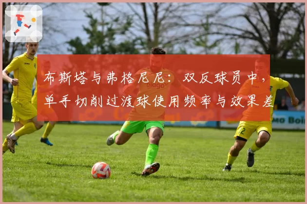 布斯塔与弗格尼尼：双反球员中，单手切削过渡球使用频率与效果差异