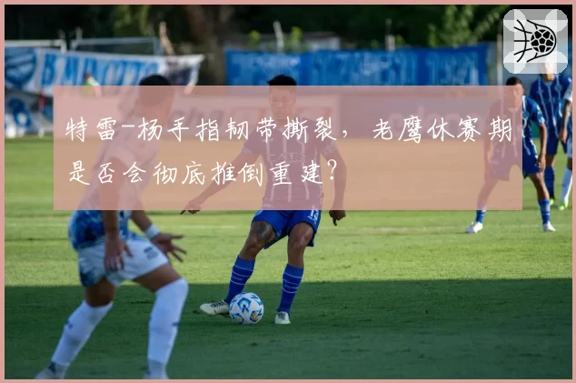 特雷-杨手指韧带撕裂，老鹰休赛期是否会彻底推倒重建？